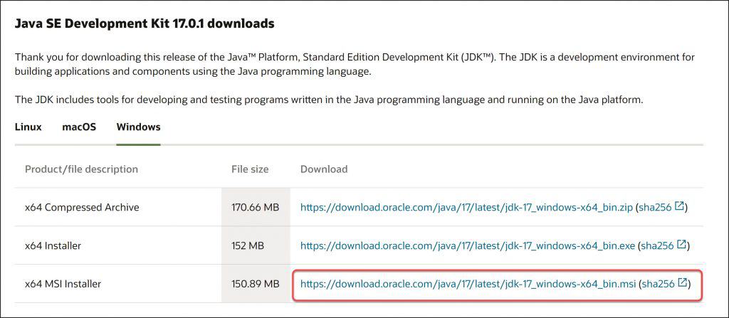 Download Java for Windows 11