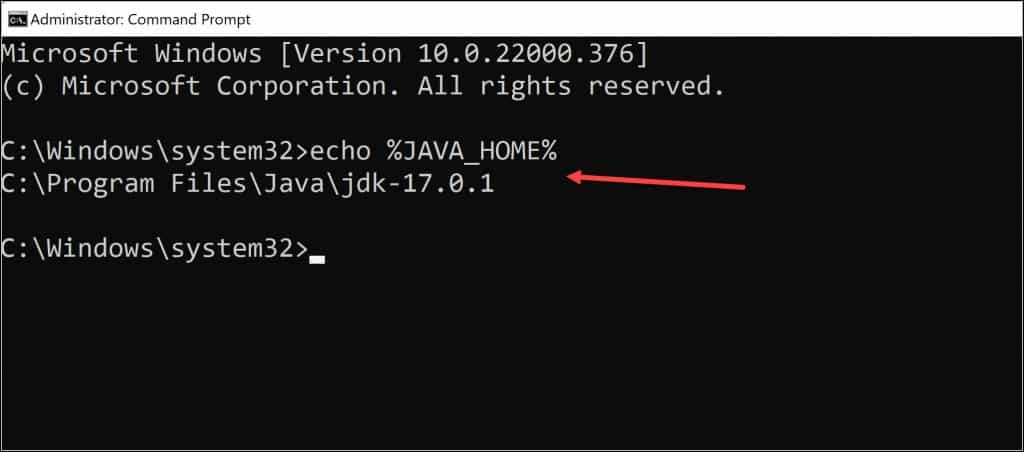 Check Java home environment variable