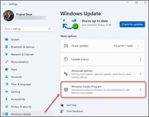 How to Join Windows Insider Program on Windows 11 PC