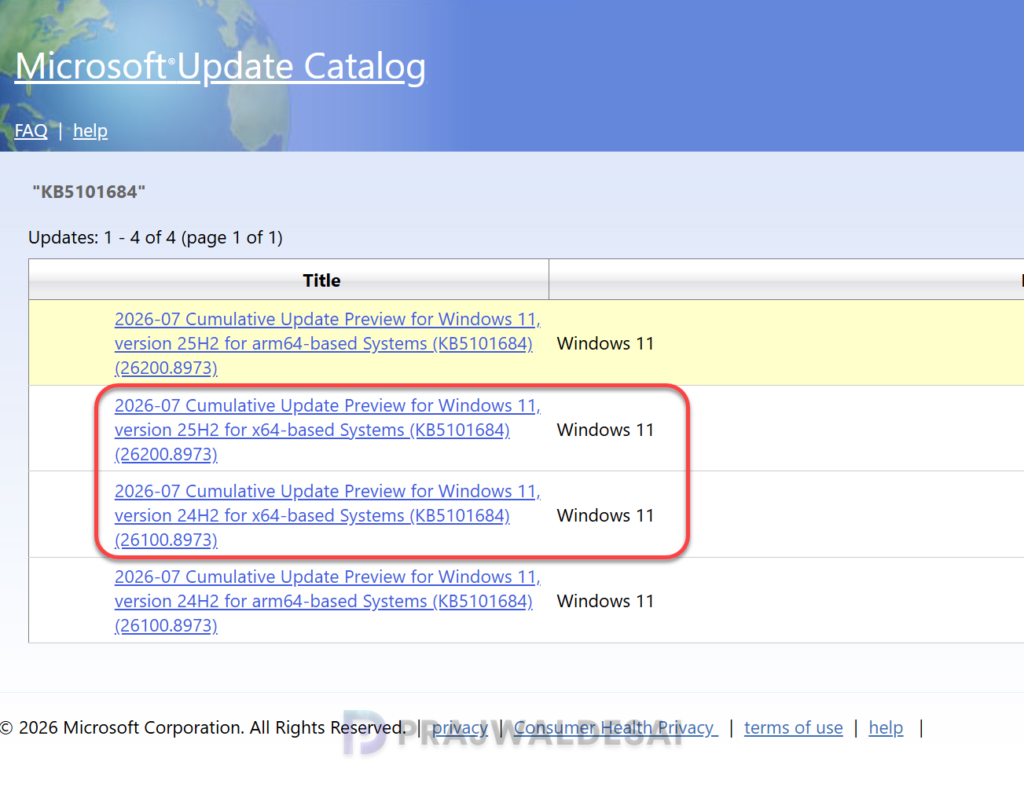 Download KB5101684 Update from Microsoft Update Catalog