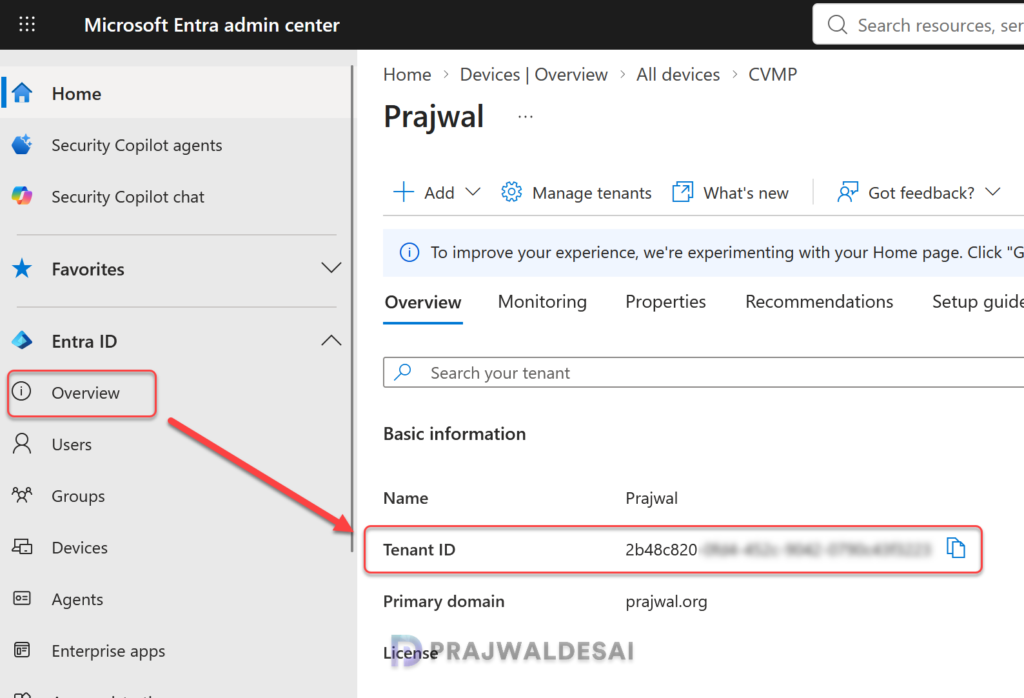 Find the Microsoft Entra Tenant ID